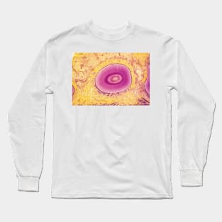 Tooth, light micrograph (P486/0099) Long Sleeve T-Shirt